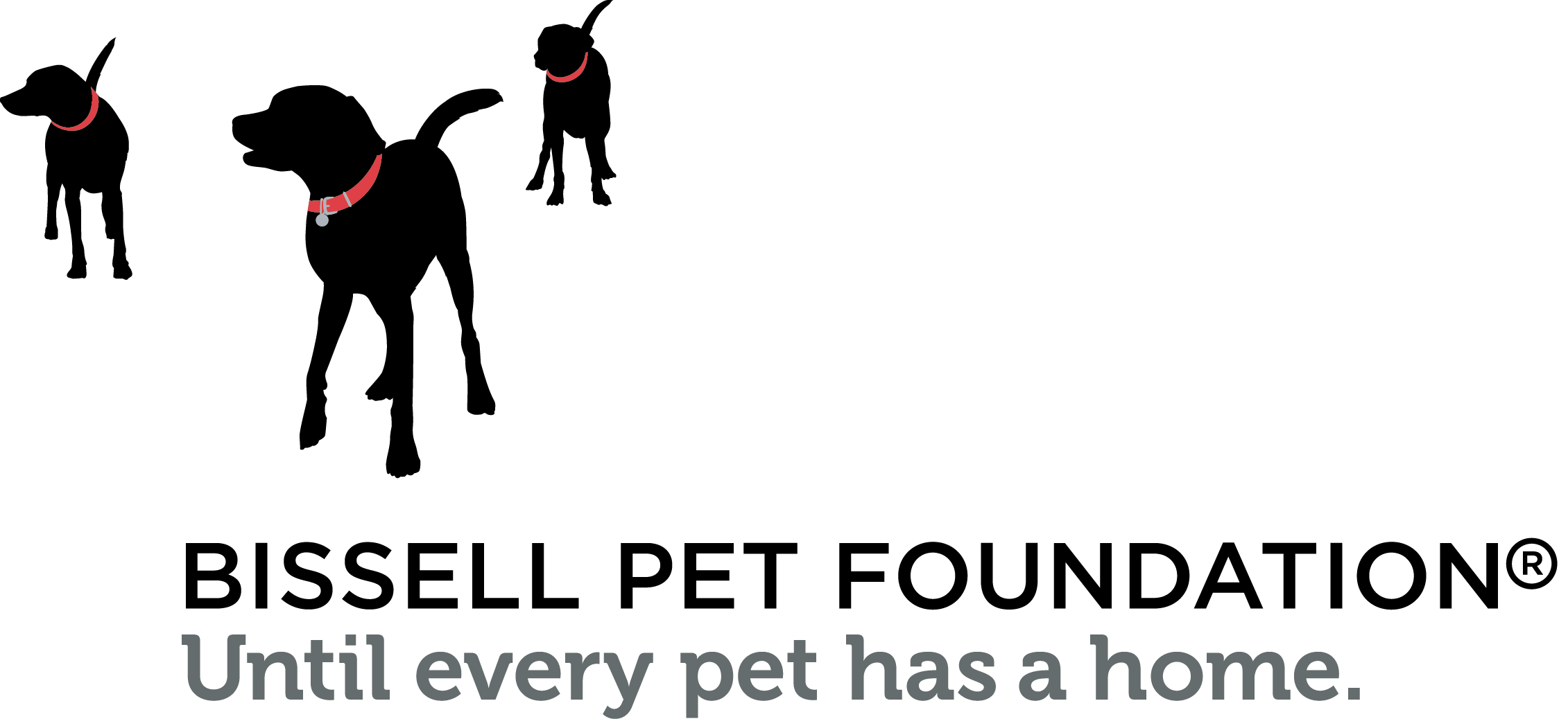 Bissell Pet foundation