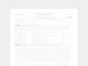 2024 Form 990- thumbnail